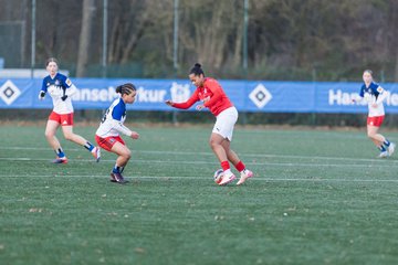 Bild 418 - wBJ Hamburger SV - Holstein Kiel : Ergebnis: 8:0